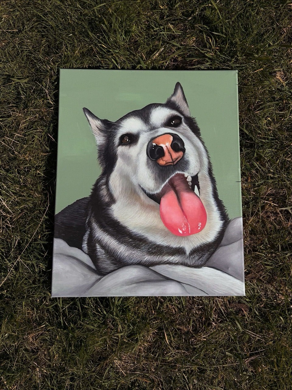 A commissioned pet portrait of a husky