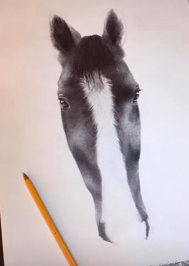 A hyper-realistic pencil drawing by Niamh of a horse foal